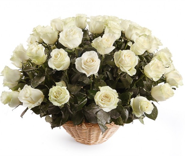 Букет в корзине 51 белых роз