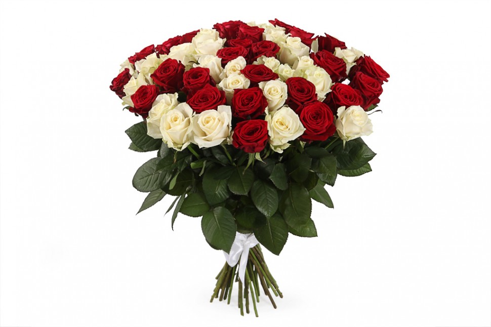 Букет 51 красно-белых роз