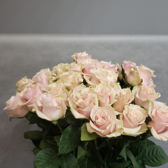 Букет из розы Пинк Мондиаль 25 роз