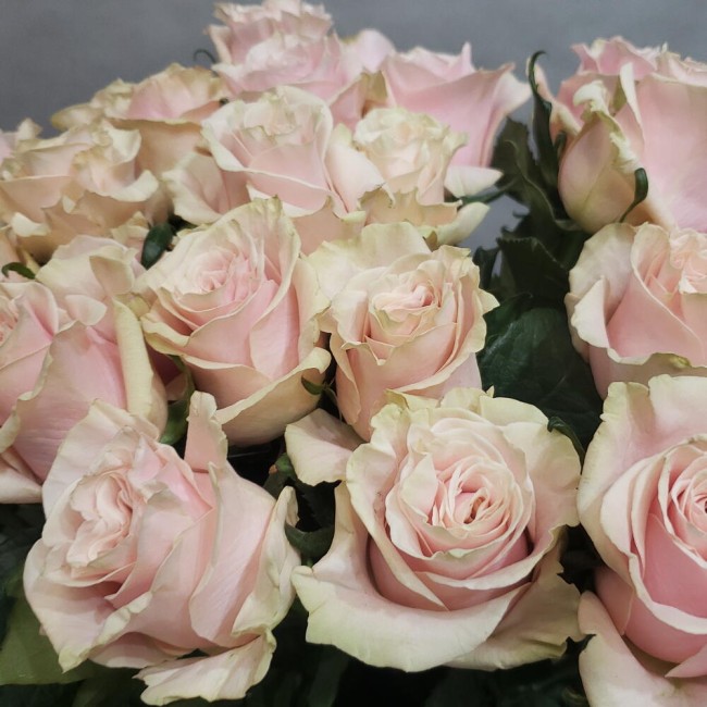 Букет из розы Пинк Мондиаль 25 роз