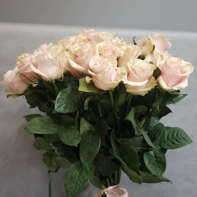 Букет из розы Пинк Мондиаль 25 роз