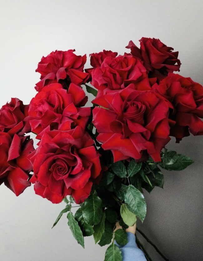 Букет из французской розы 