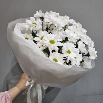 Белая ромашка, примерно 51 цветочек