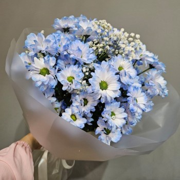 Голубая ромашка с гипсофилой