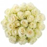 25 белых роз