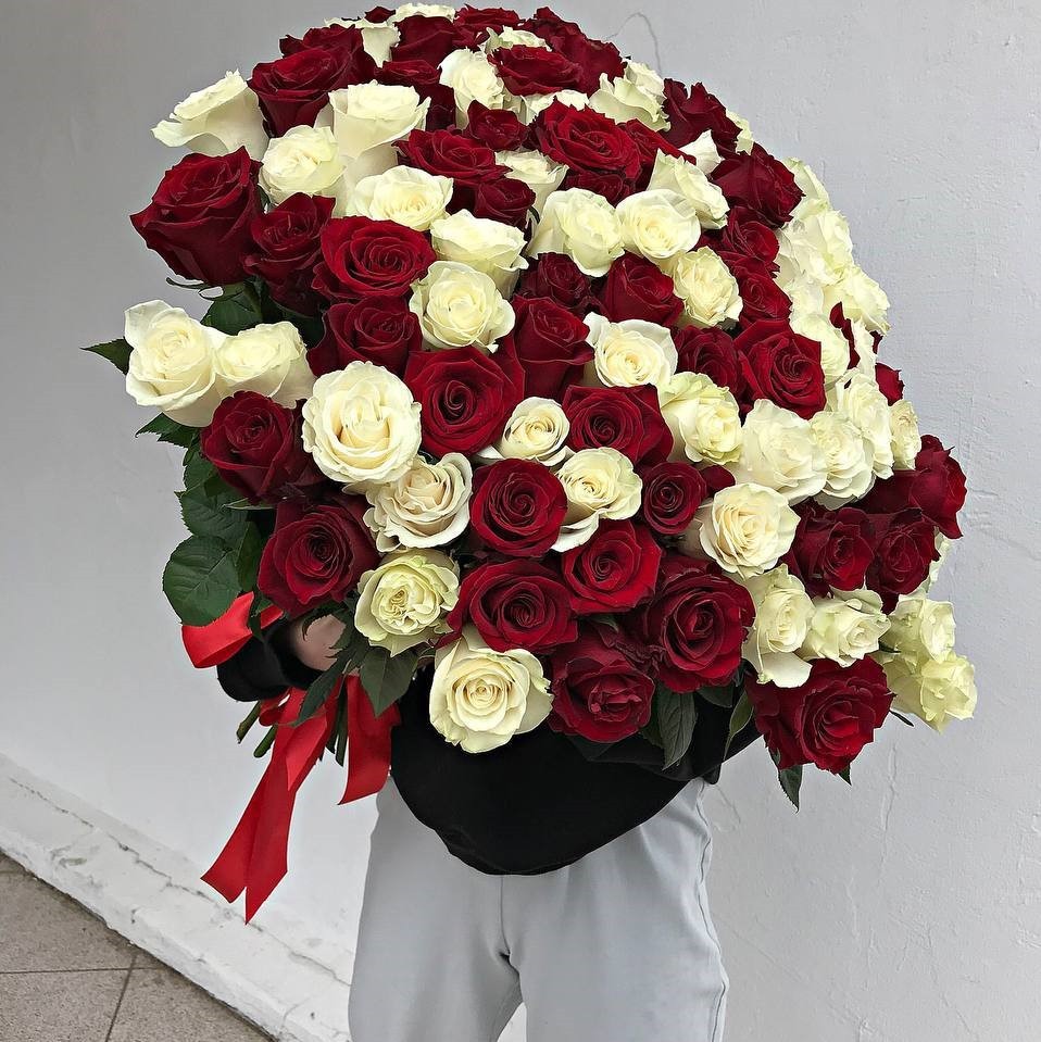101 бело-красная роза Эквадор