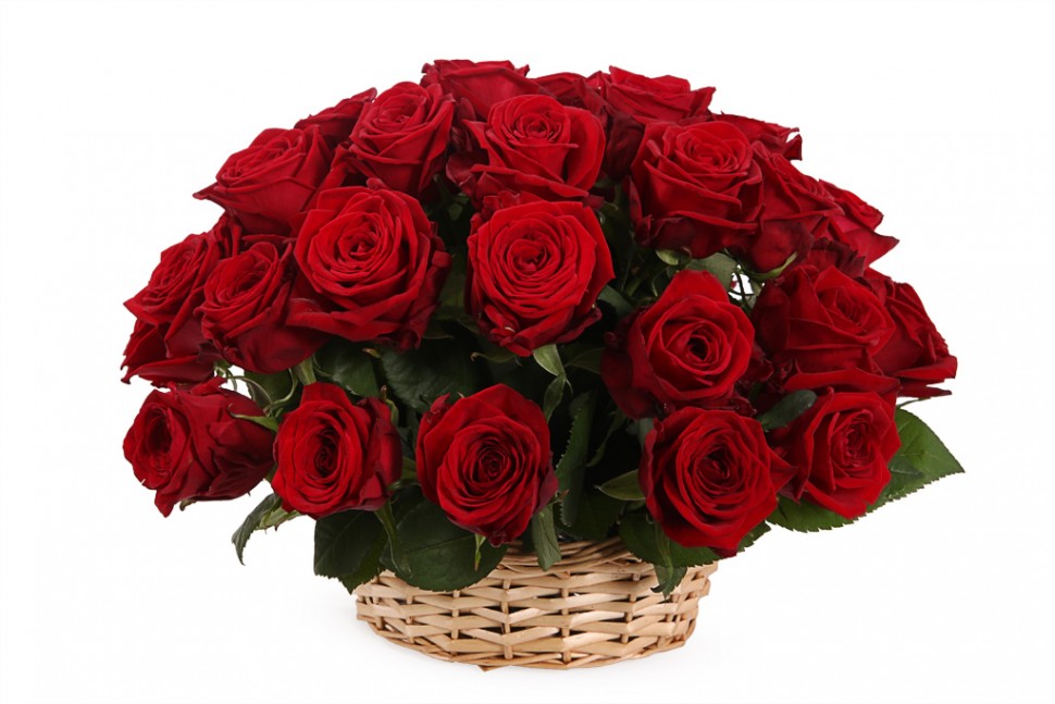 Букет в корзине 35 красных роз